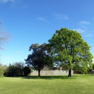 LAS HERAS, PARCELAS DE 12,50X37 (462,50M2)