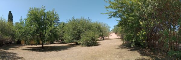 PARCELAS DE 12X37 DE CALLE LARRALDE
