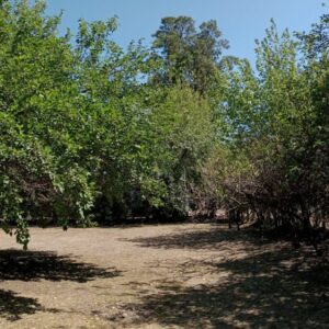 PARCELA N°2 DE 12X37 DE CALLE LARRALDE