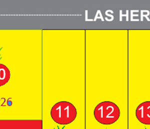 PARCELA N°10 (728M2) EN ALQUILER PERMANENTE!