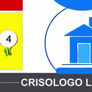 PARCELA N°5 (320,50M2)